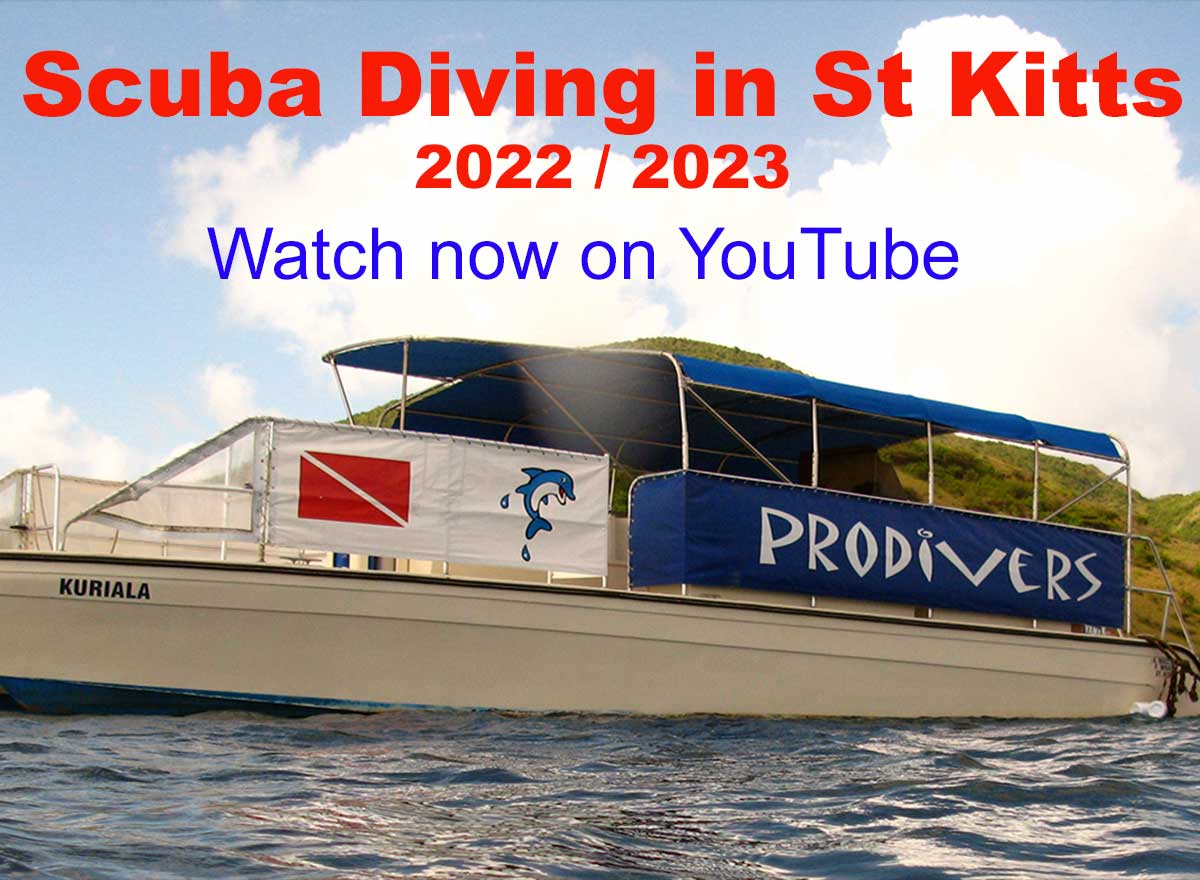 pro divers promotion video 2022 / 2023