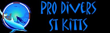 Pro Divers Logo