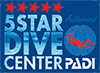 Padi5star 100
